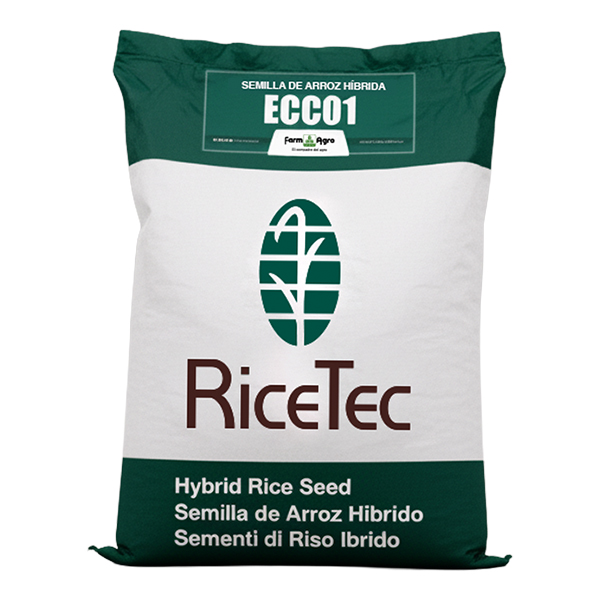 SEMILLA DE ARROZ - ECCO1 - 20 KGS